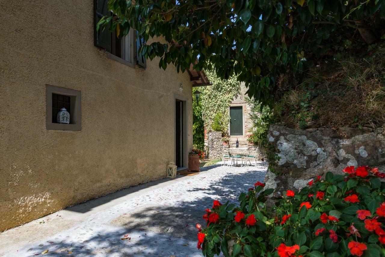 Villa Brancoli Capannori Kültér fotó